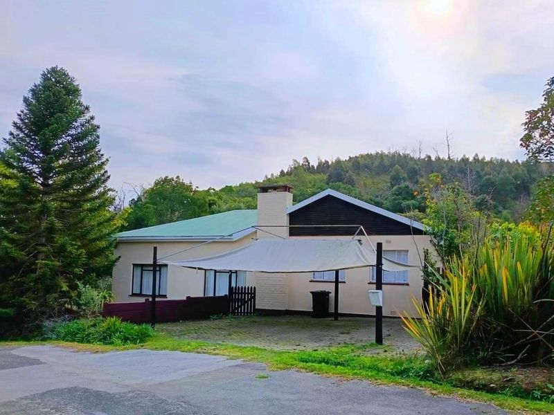 Potential, Potential, Potential - Photo 2