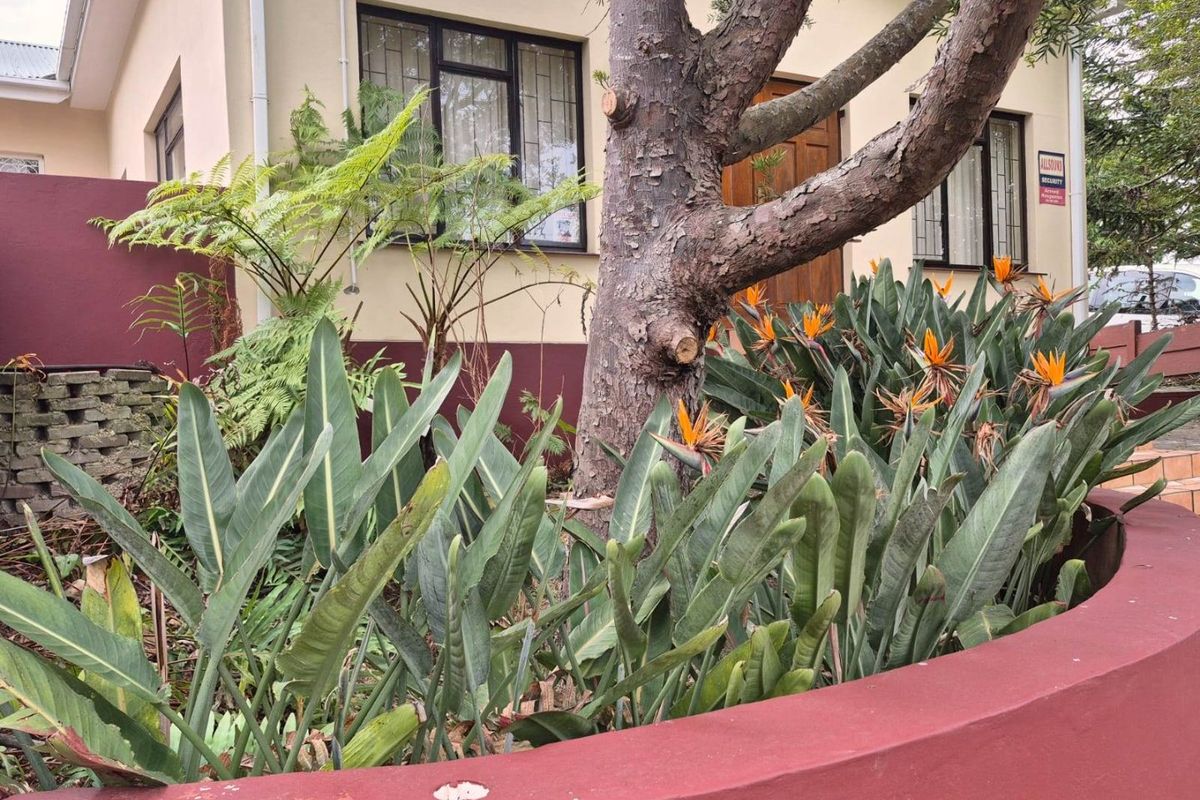 Potential, Potential, Potential - Photo 5