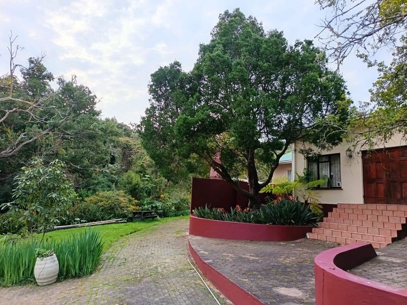 Potential, Potential, Potential - Photo 6