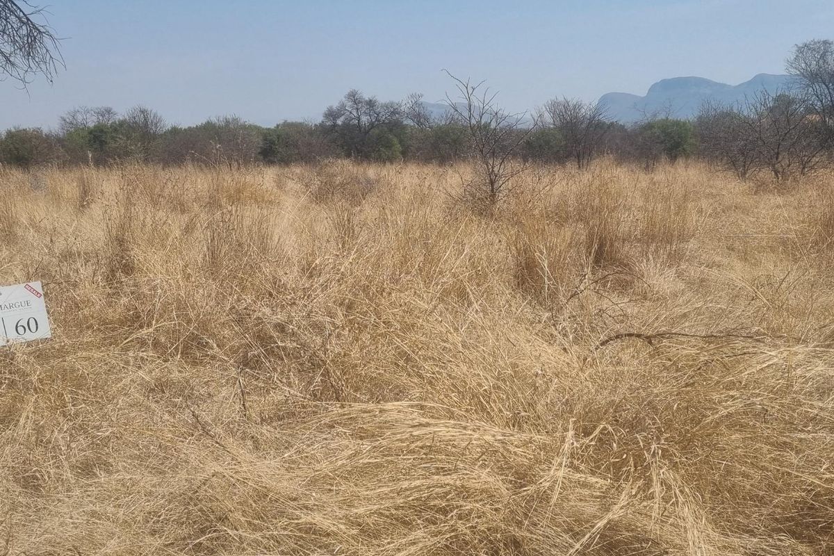 A view of a vacant residential plot featuring dry natural grass, scattered indigenous trees, and distant mountain views.