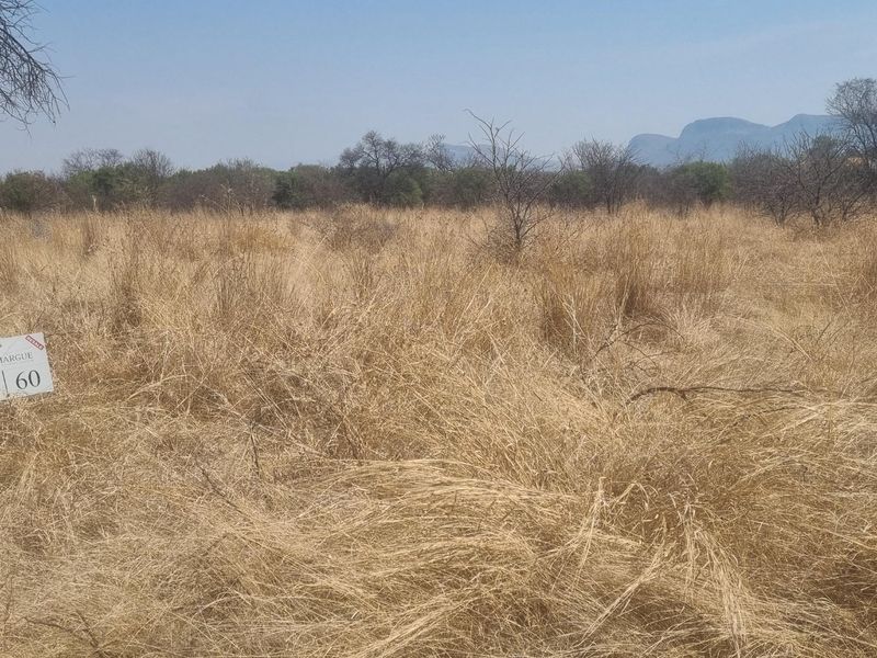 A view of a vacant residential plot featuring dry natural grass, scattered indigenous trees, and distant mountain views.