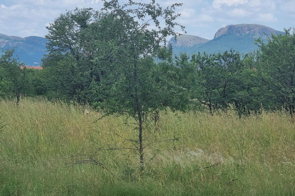 A view of a vacant residential plot featuring natural vegetation, mature trees, and scenic mountain views in the background.