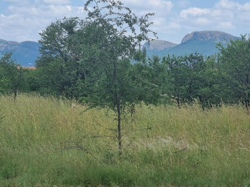 A view of a vacant residential plot featuring natural vegetation, mature trees, and scenic mountain views in the background.