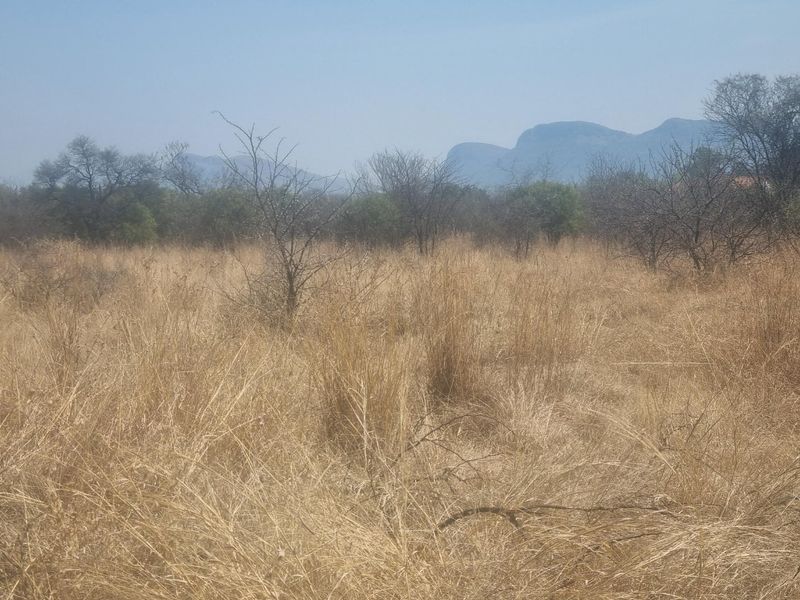 A view of the vacant residential land featuring natural dry grass, native trees, and scenic mountain views in the background.