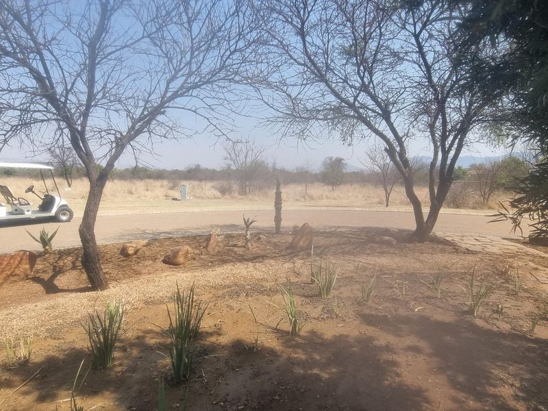 A view of a vacant residential plot featuring established trees, landscaped garden beds with succulents, and a paved driveway area.