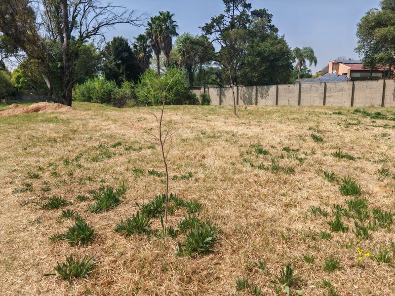 A view of a vacant residential plot featuring dry grass, mature trees, and a perimeter boundary wall.