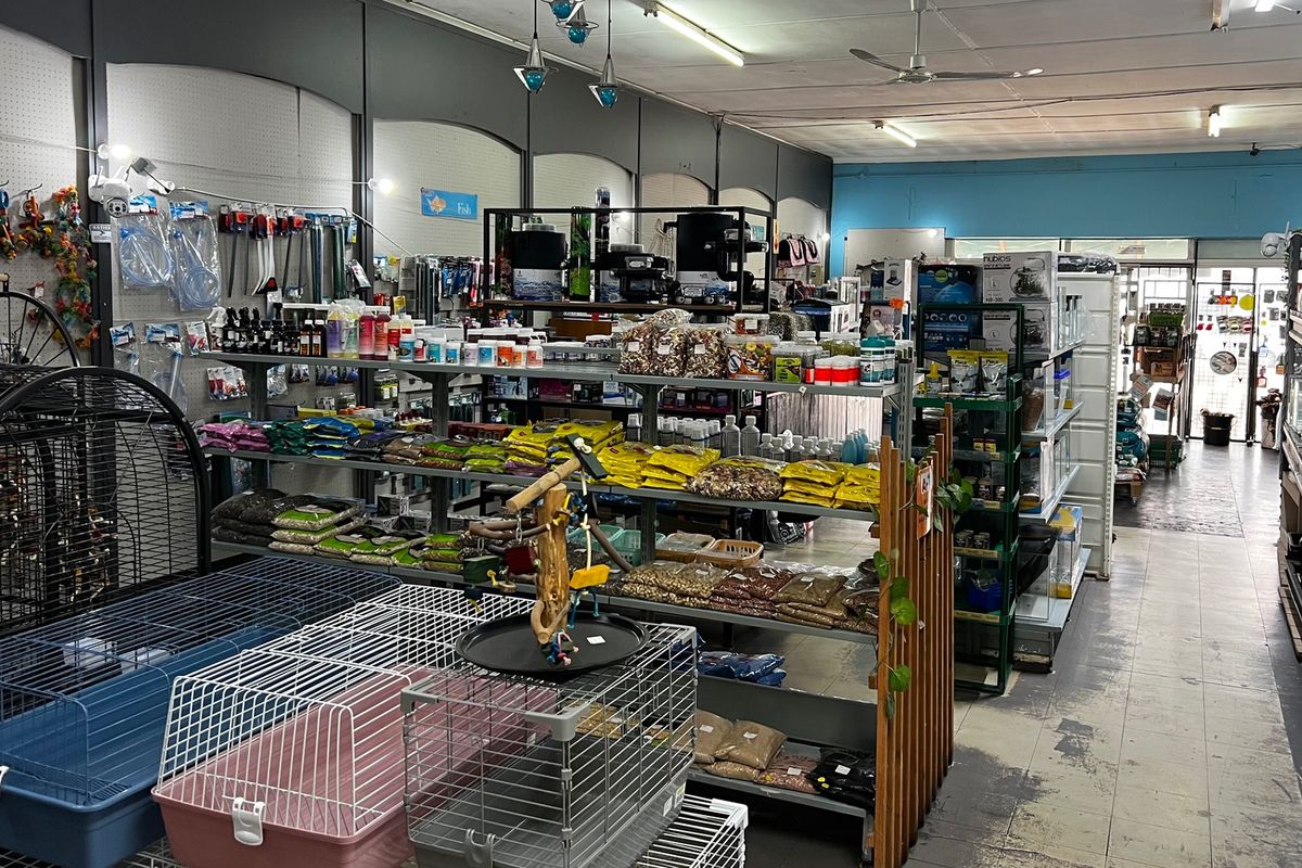 PRIME COMMERCIAL OPPORTUNITY IN HIGH-VISIBILITY LOCATION - Photo 4