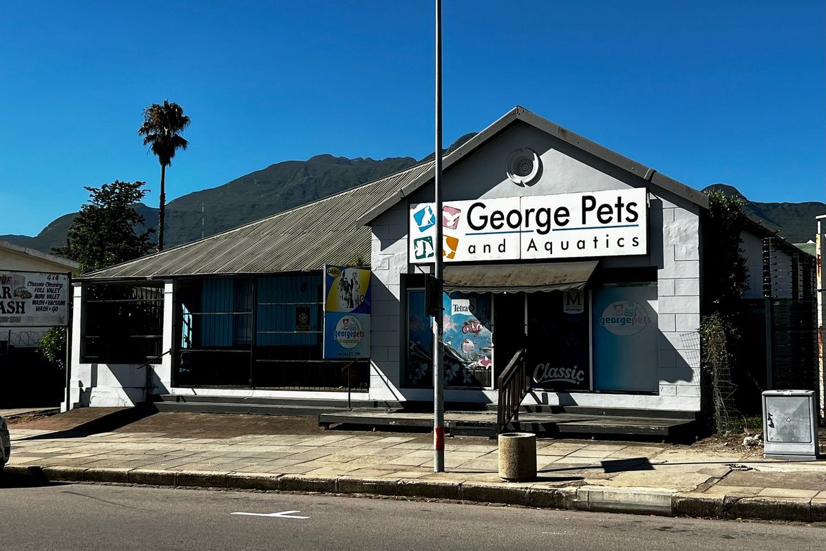 PRIME COMMERCIAL OPPORTUNITY IN HIGH-VISIBILITY LOCATION - Photo 2