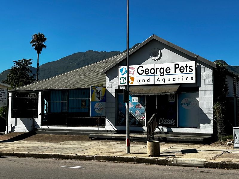 PRIME COMMERCIAL OPPORTUNITY IN HIGH-VISIBILITY LOCATION - Photo 2