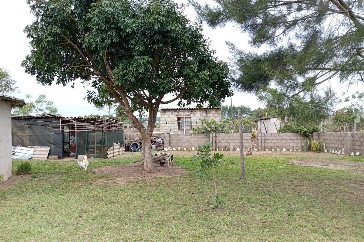 3 Bed House in Mzingazi for Sale - Photo 3