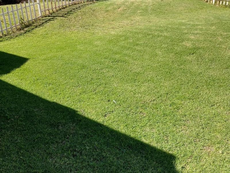 Modern Ground Floor 2-Bedroom with Private Garden - Photo 7