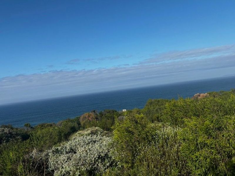 Vacant Stand for Sale in Breakwater Bay - Photo 5