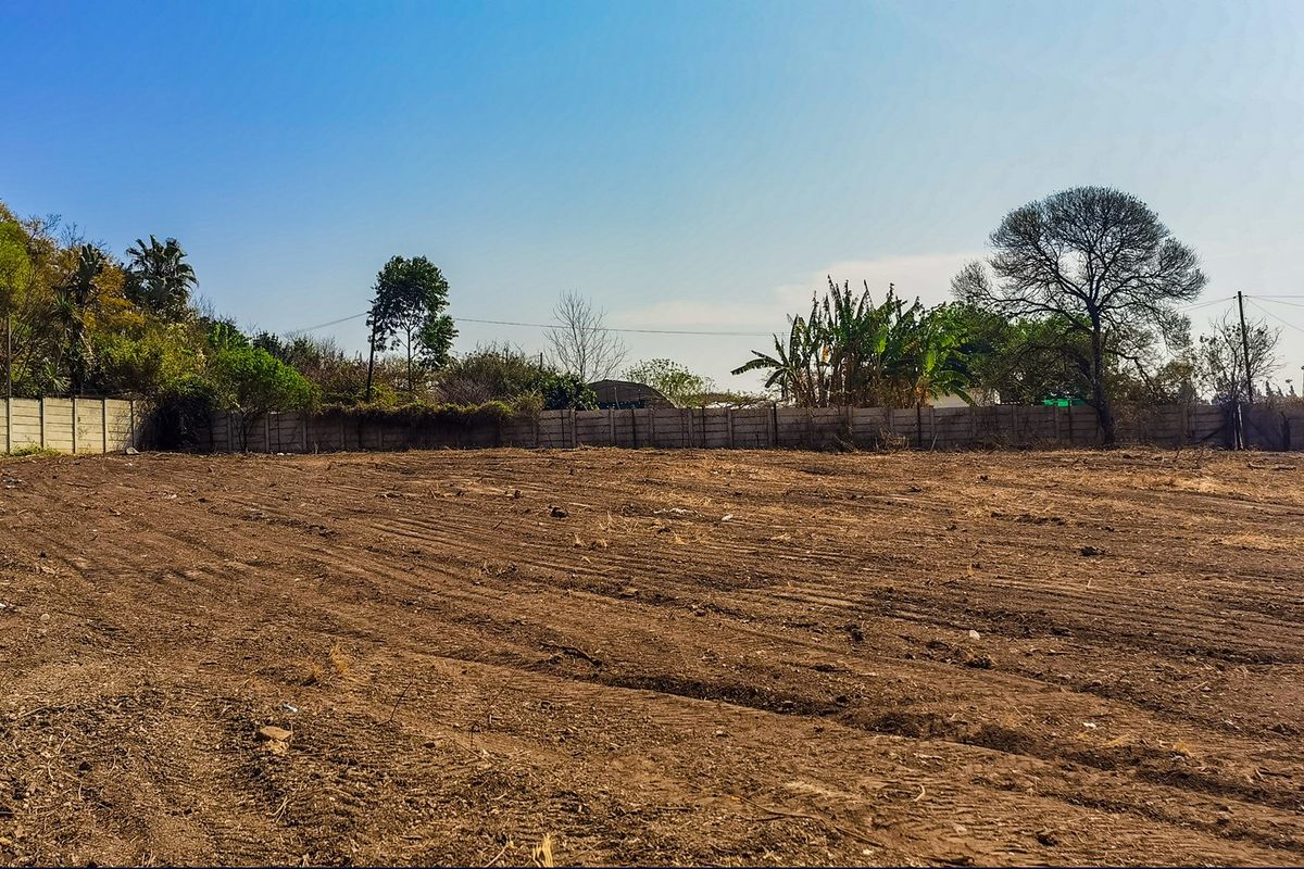 Vacant Residential Land in Ashburton  - Photo 3