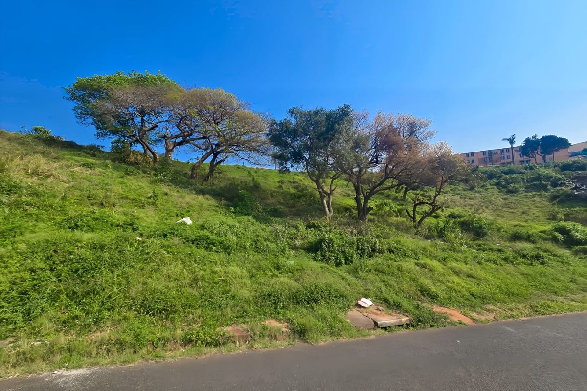 A view of a sloped, undeveloped residential plot featuring mature trees and direct access from an asphalt road.
