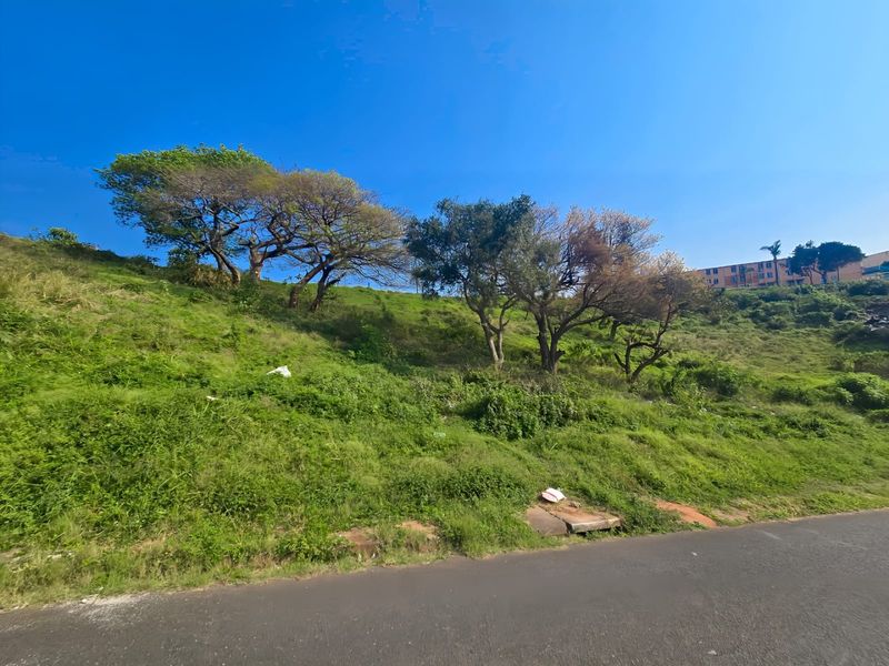 A view of a sloped, undeveloped residential plot featuring mature trees and direct access from an asphalt road.