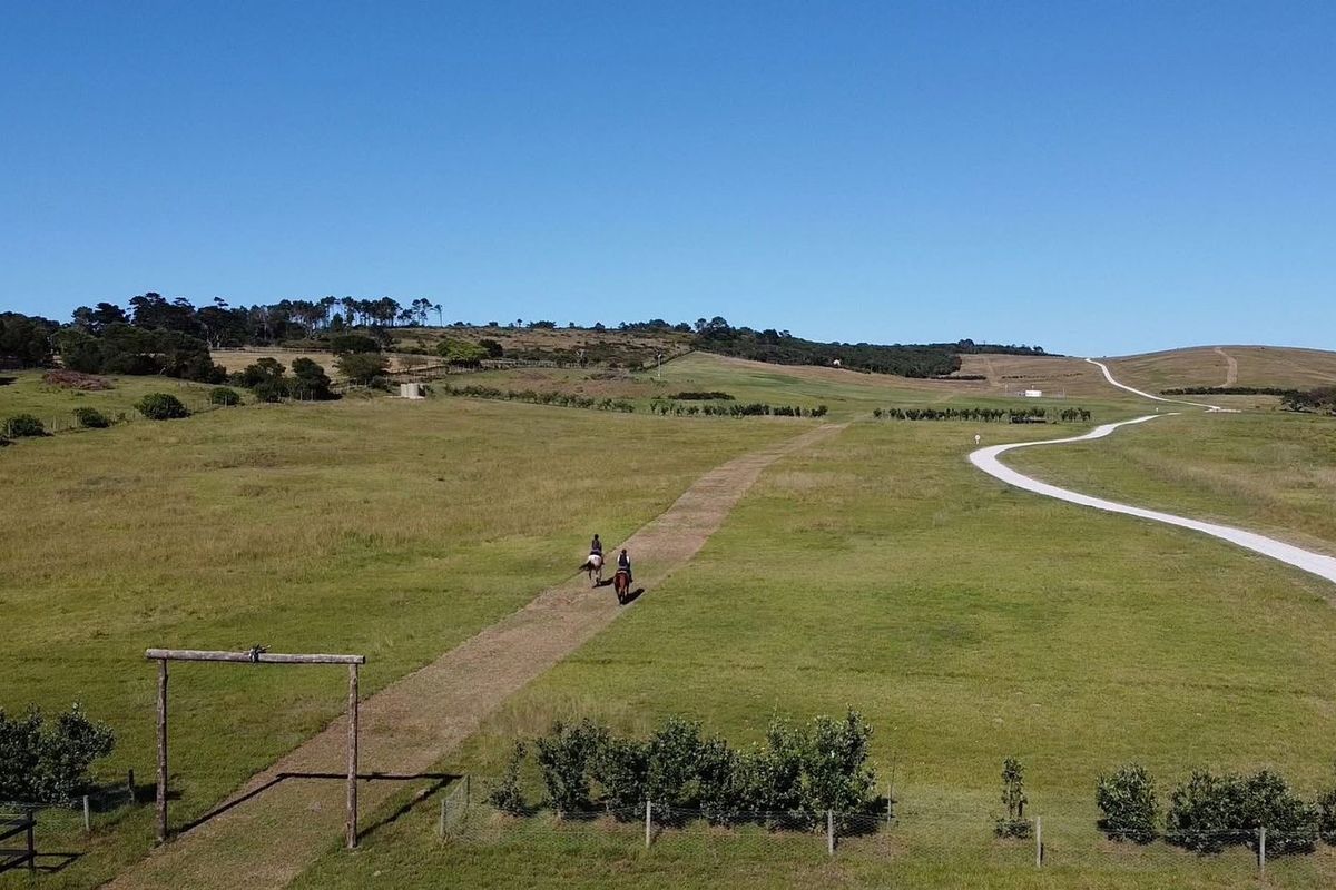 An aerial view of a large commercial property featuring expansive green fields, a gravel driveway, and perimeter fencing.