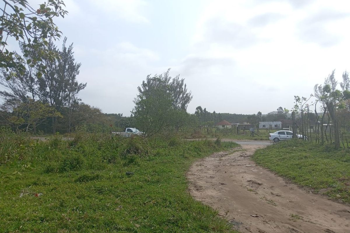 0 Bed House in Mzingazi for Sale - Photo 4