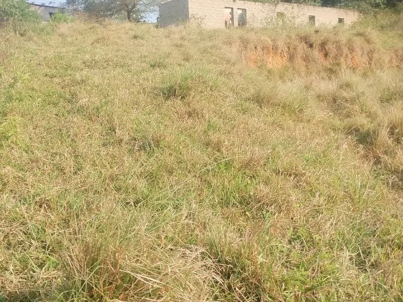 Vacant land for sale sale in Dlangezwa,Ongoye. - Photo 6
