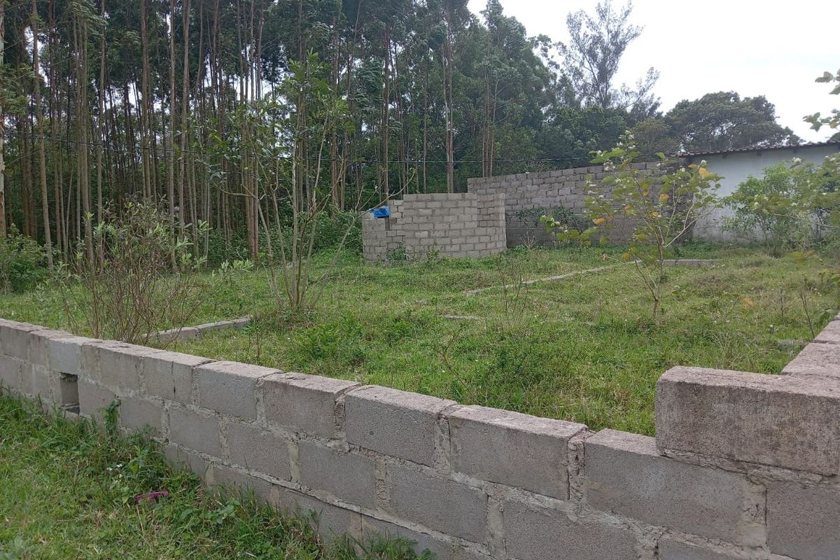 0 Bed Vacant Land in Mzingazi for Sale - Photo 3