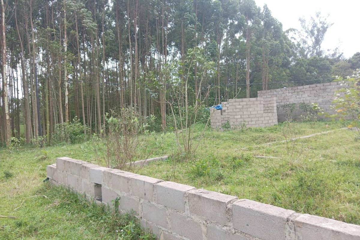 0 Bed Vacant Land in Mzingazi for Sale - Photo 2