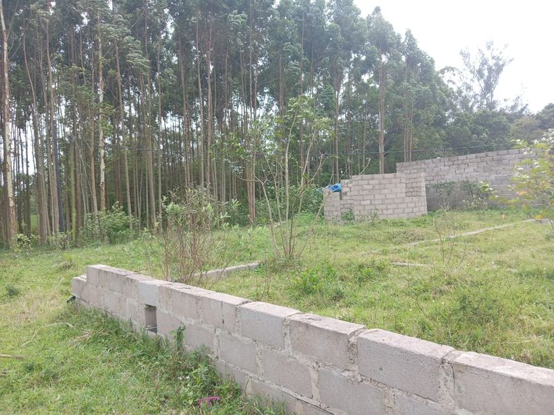 0 Bed Vacant Land in Mzingazi for Sale - Photo 2