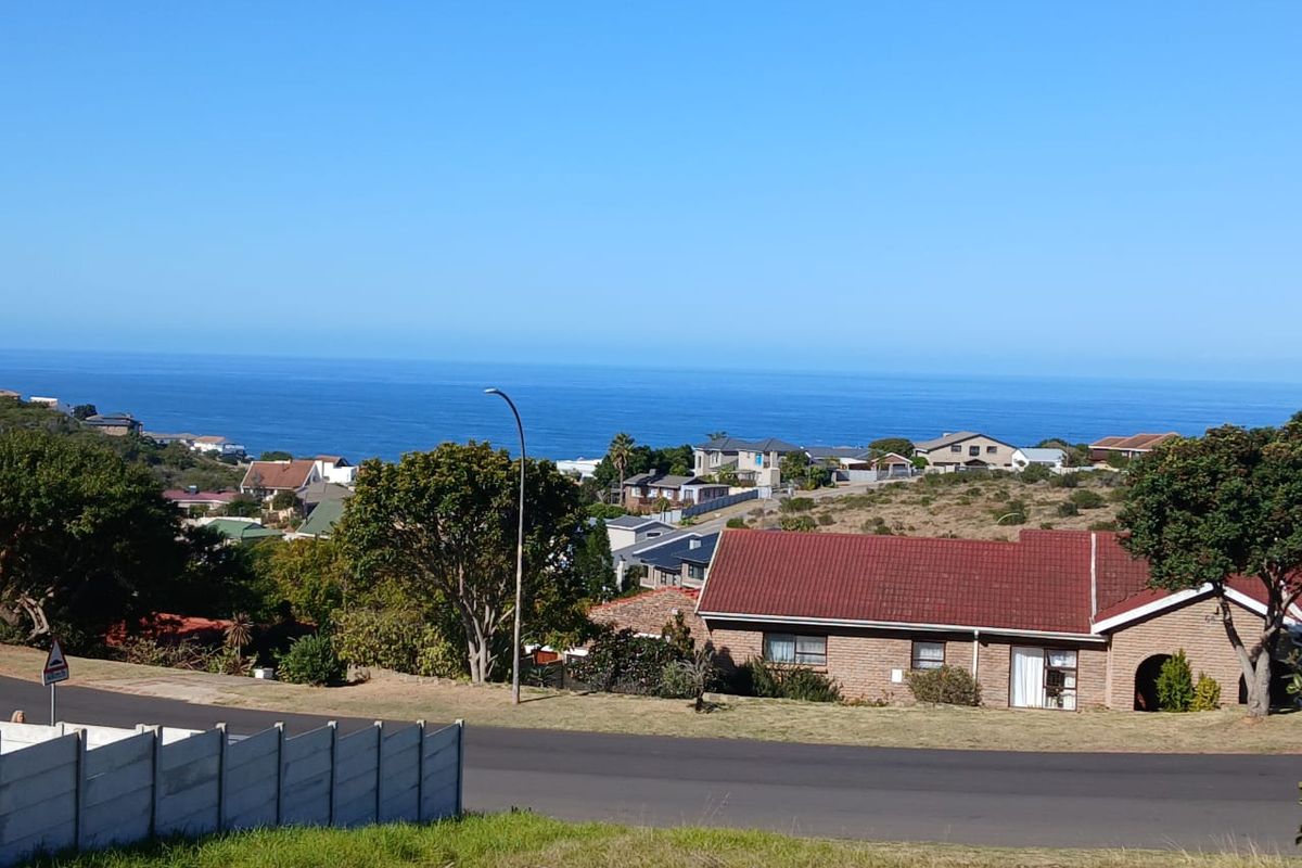 A scenic elevated view overlooking the coastal residential neighborhood and the expansive blue ocean horizon.
