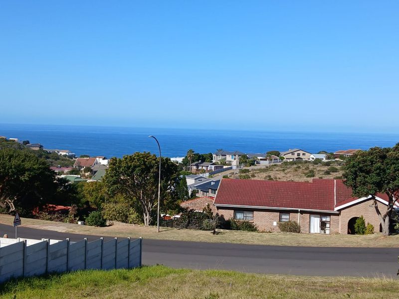 A scenic elevated view overlooking the coastal residential neighborhood and the expansive blue ocean horizon.