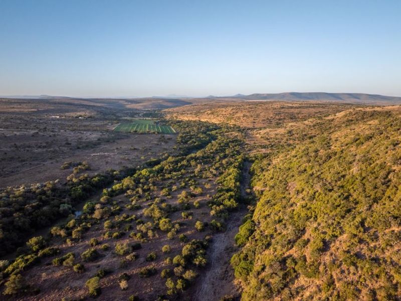3,190ha Game Farm with 12km Koonap River Frontage – Eastern Cape - Photo 3