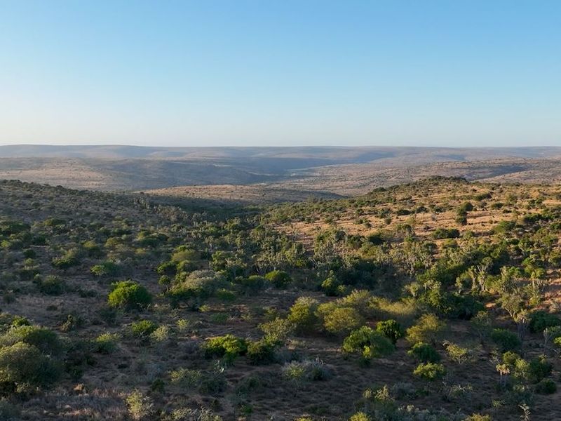 3,190ha Game Farm with 12km Koonap River Frontage – Eastern Cape - Photo 2