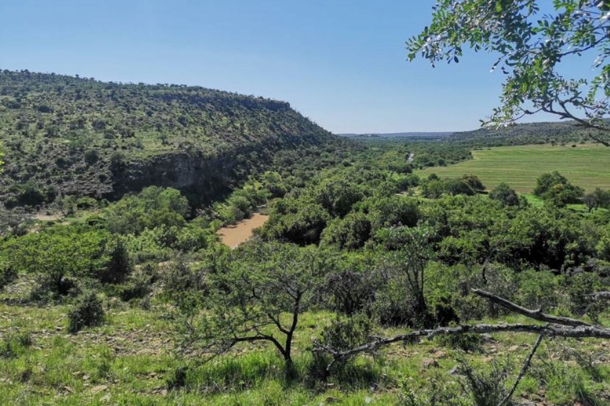 3,190ha Game Farm with 12km Koonap River Frontage – Eastern Cape - Photo 4