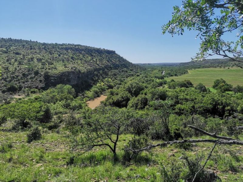 3,190ha Game Farm with 12km Koonap River Frontage – Eastern Cape - Photo 4