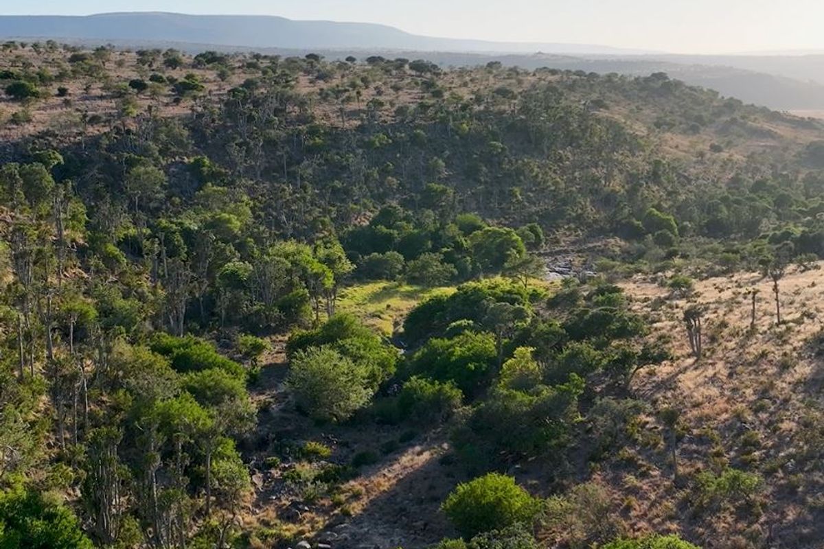 3,190ha Game Farm with 12km Koonap River Frontage – Eastern Cape - Photo 5