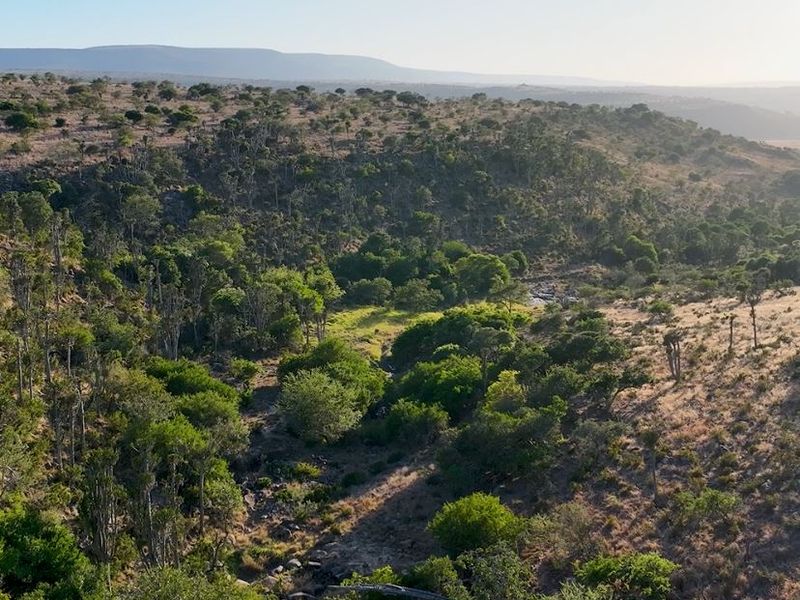 3,190ha Game Farm with 12km Koonap River Frontage – Eastern Cape - Photo 5