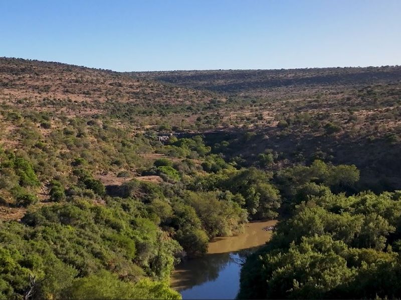 3,190ha Game Farm with 12km Koonap River Frontage – Eastern Cape - Photo 10