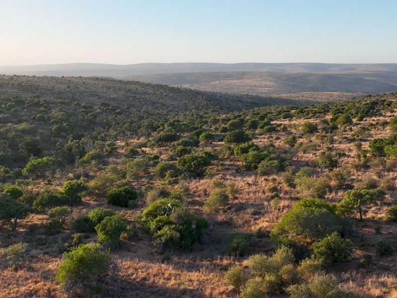 3,190ha Game Farm with 12km Koonap River Frontage – Eastern Cape - Photo 6