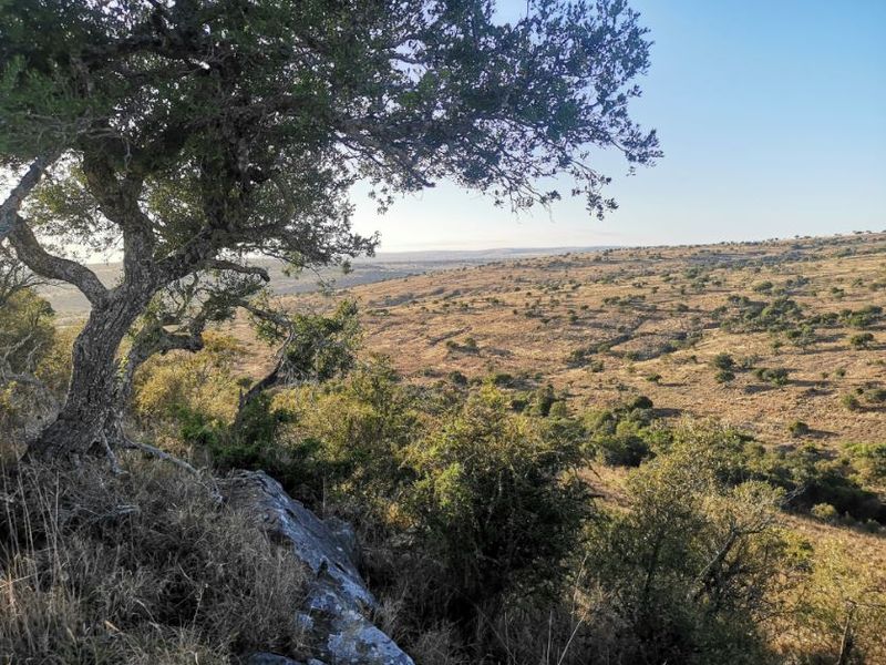 3,190ha Game Farm with 12km Koonap River Frontage – Eastern Cape - Photo 8