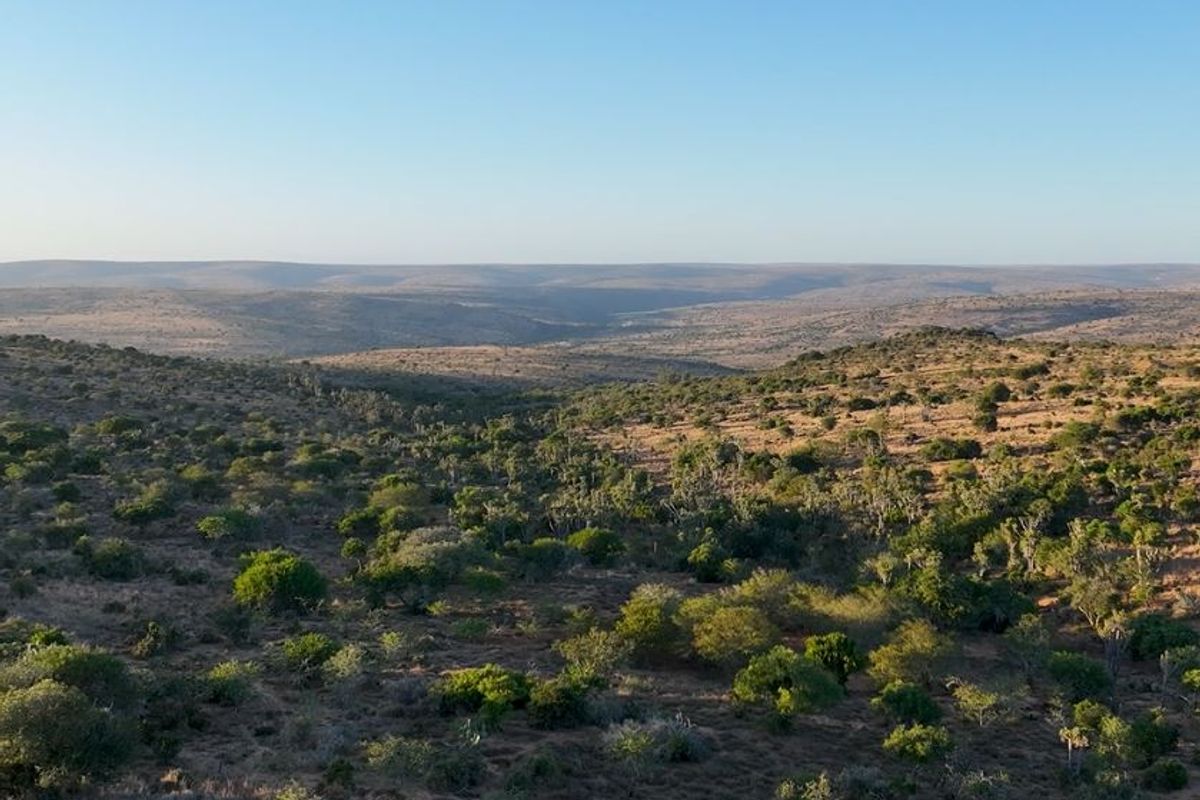 Expansive panoramic view of the natural landscape, showcasing the rolling hills and indigenous vegetation characteristic of the farm property.