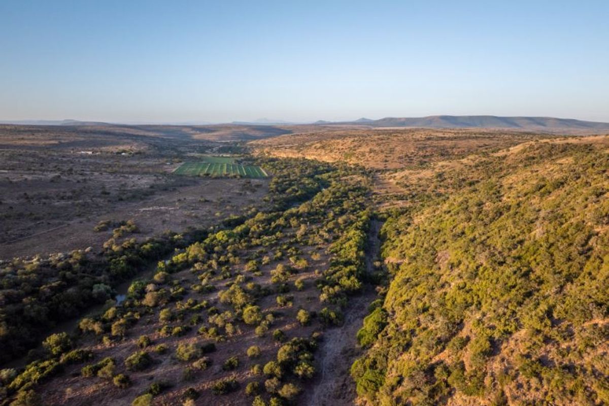 An expansive aerial view of the farm landscape featuring natural vegetation, a riverbed, and distant hills under a clear sky.
