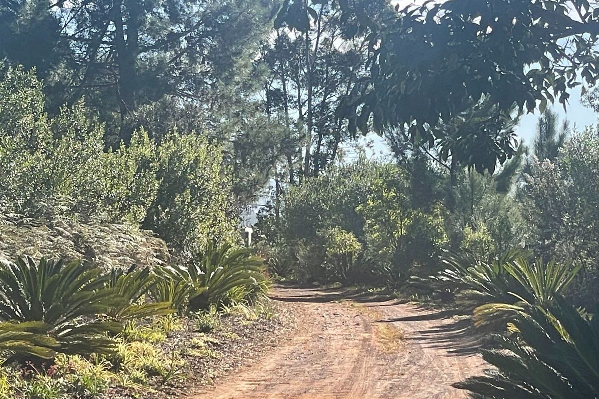 96Ha Lifestyle Farm & Guest Lodge – Nature, Tranquility & Income Potential - Photo 5