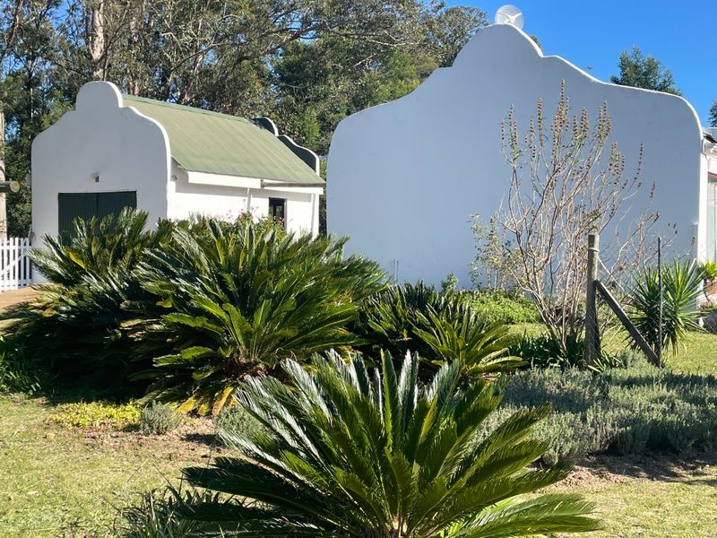 96Ha Lifestyle Farm & Guest Lodge – Nature, Tranquility & Income Potential - Photo 7