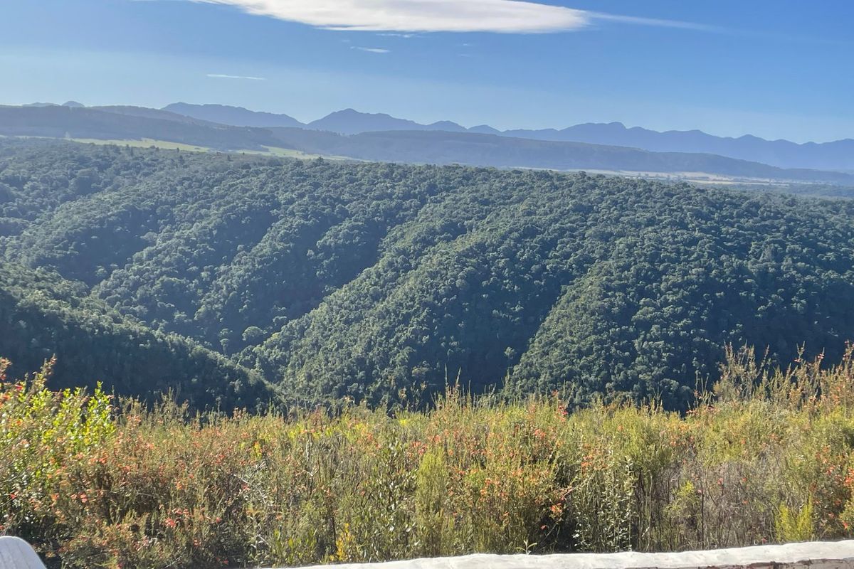 Lifestyle farm with Mountain and Valley views in Plettenberg Bay - Photo 4