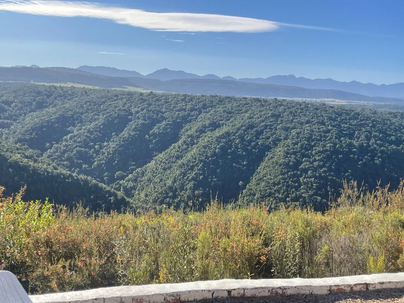 Lifestyle farm with Mountain and Valley views in Plettenberg Bay - Photo 4