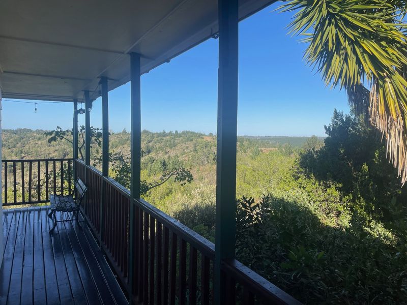 Lifestyle farm with Mountain and Valley views in Plettenberg Bay - Photo 9