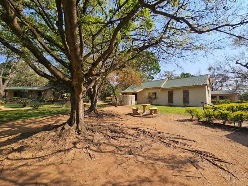 Lifestyle Estate, Centrally Located, Income Earning Potential  - Photo 7