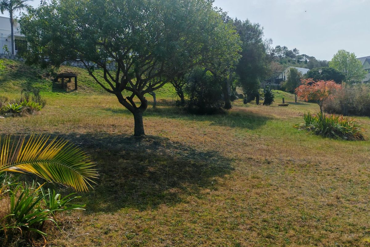 Prime Investor Opportunity in Historic Great Brak River . - Photo 5