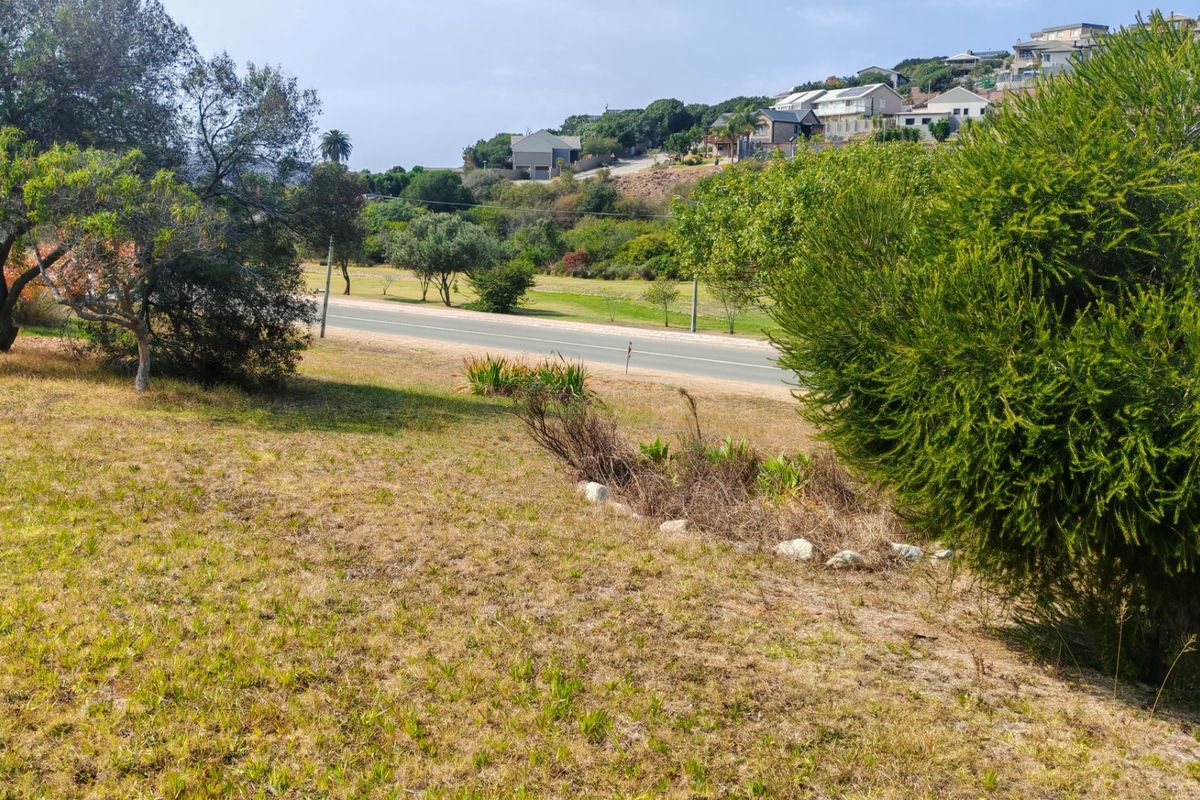 A view of the vacant residential land featuring established trees and natural grass, overlooking a nearby road and residential neighborhood.