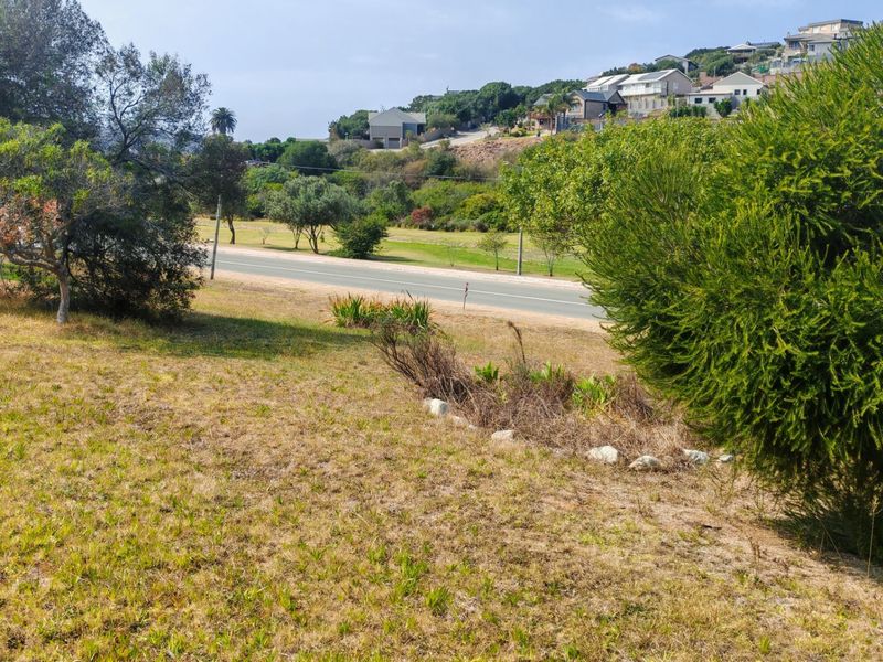 A view of the vacant residential land featuring established trees and natural grass, overlooking a nearby road and residential neighborhood.