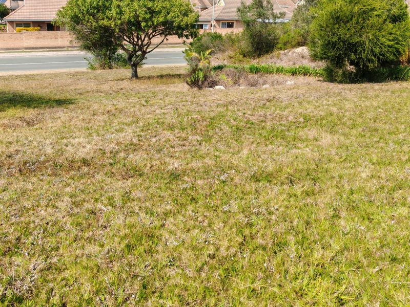 A view of the vacant residential land plot featuring natural grass coverage and established trees, with a road and neighboring houses in the background.