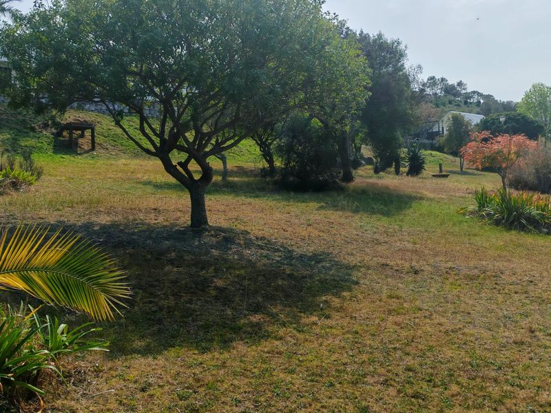 A spacious, sloped residential garden area featuring mature trees and established landscaping, offering a natural outdoor setting.