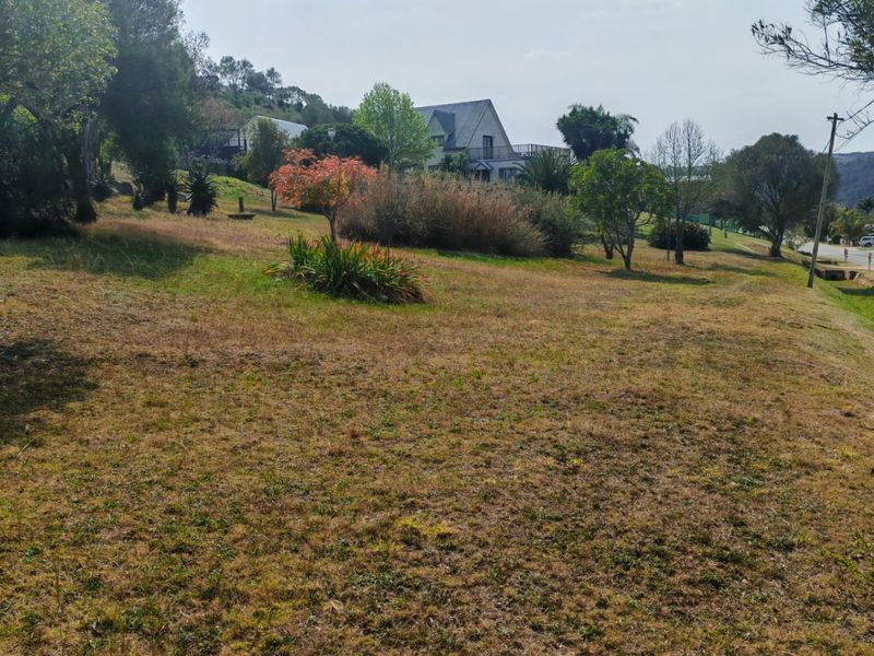 A view of a vacant residential plot featuring sloped terrain, established trees, and proximity to a local road.
